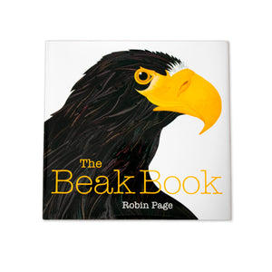 Bird Beaks Project Box