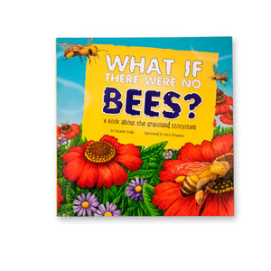 Honey Bee Project Box