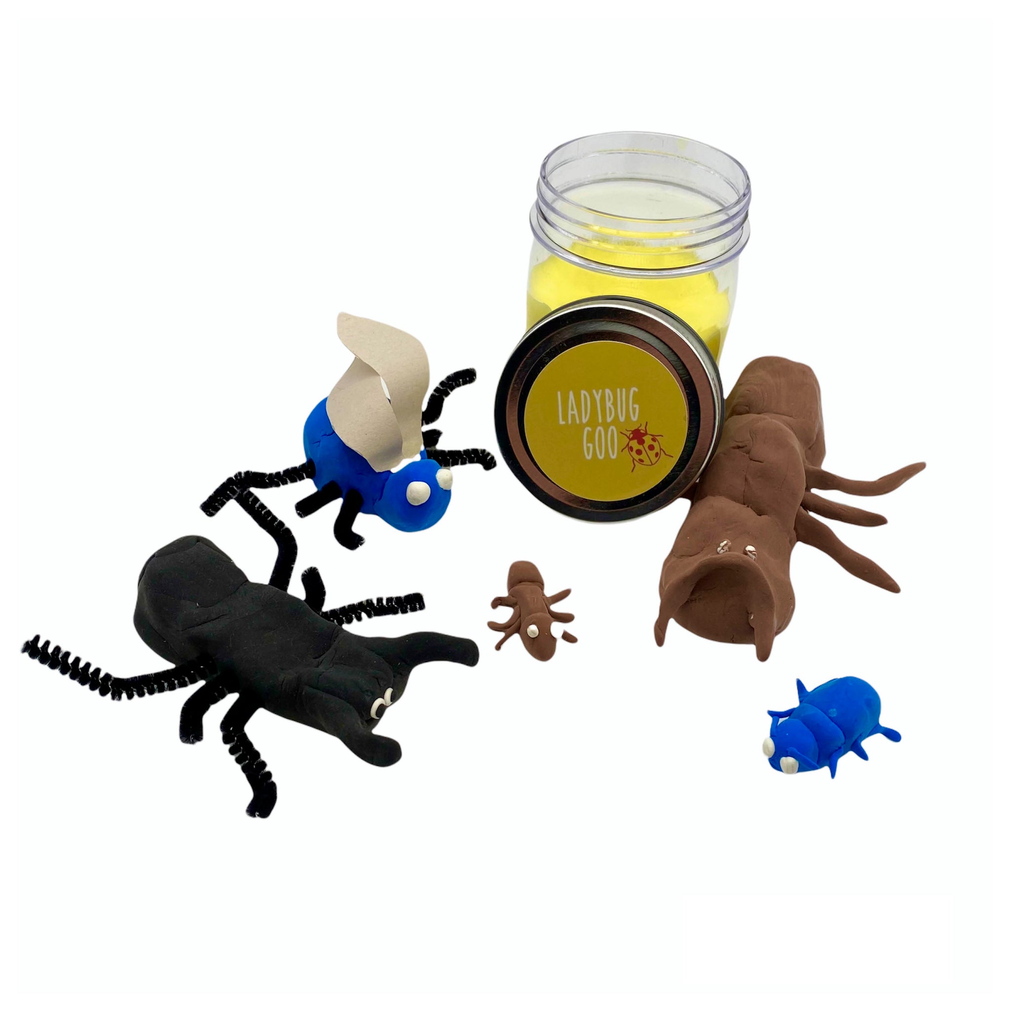 Insects and Bugs Project Box