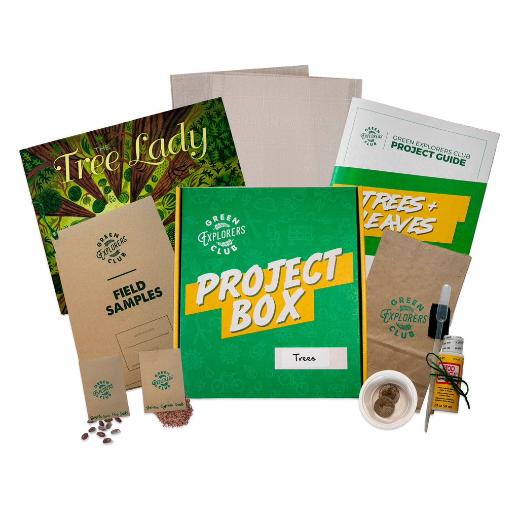Trees and Leaves Project Box